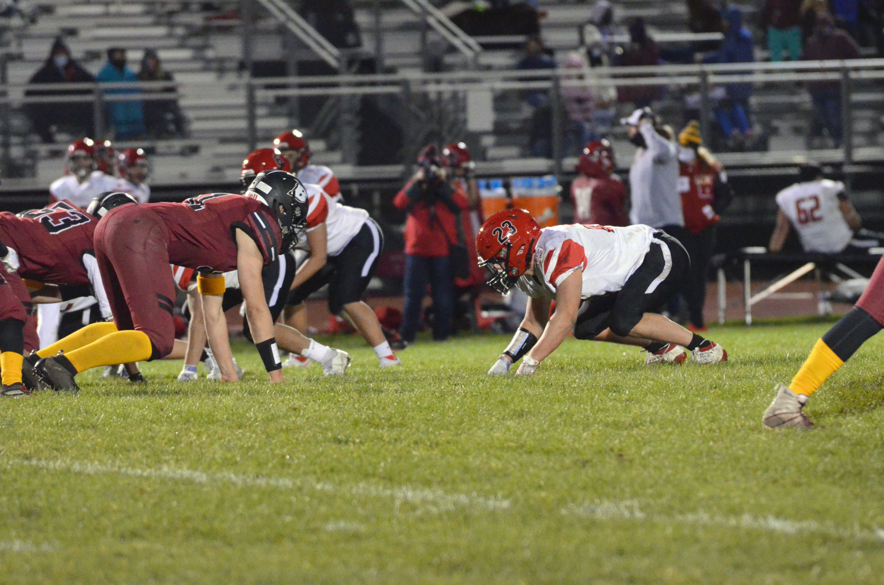 Wilmot DL Beagle